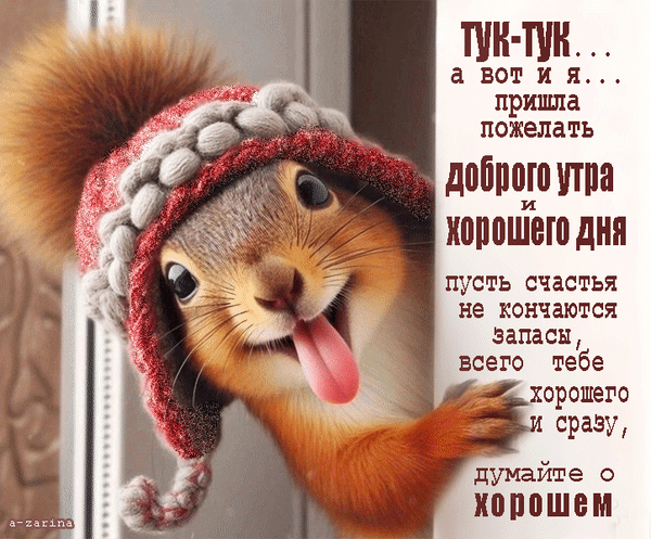 Анимация Шухарная белочка дразнится и показывает нам всем радостный язык, (Тук-тук… а вот и я… пришла пожелать доброго утра хорошего дня пусть счастья не кончаются запасы, всего тебе хорошего и сразу, думайте о хорошем.), гифка Шухарная белочка дразнится и показывает нам всем радостный язык, (Тук-тук… а вот и я… пришла пожелать доброго утра хорошего дня пусть счастья не кончаются запасы, всего тебе хорошего и сразу, думайте о хорошем.)