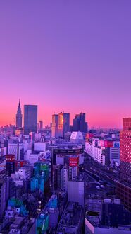Обои на телефон Токио / Tokyo, Япония / Japan, панорамный вид на городские небоскребы и здания с дорогами, на фоне закатного неба с розовыми и фиолетовыми оттенками