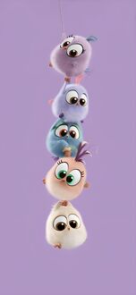 Обои на телефон Пять пушистых круглых птиц из фильма Angry Birds Movie / Angry Birds Movie, разных цветов, висят вертикальной стопкой, держась друг за друга, на фиолетовом фоне